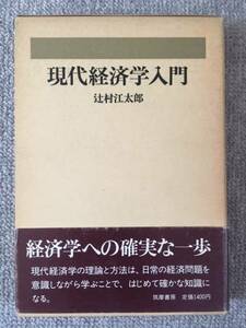 現代経済学入門　辻村江太郎　中古良書！！