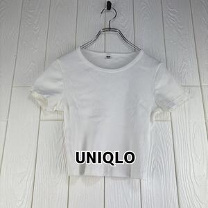 ユニクロ　UNIQLO レディース　タイトシャツ　クロップド