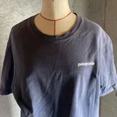 難ありPatagonia  Tシャツ