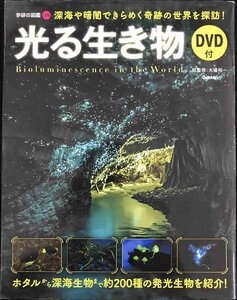 光る生き物 DVD付 (学研の図鑑LITE)