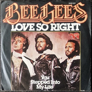 【Disco & Soul 7inch】Bee Gees / You Stepped Into My Life