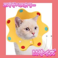 ⭐️エリザベスカラー　猫　Mサイズ