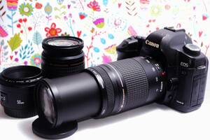 Canon EOS 5D MarkII☆トリプルレンズ☆フルサイズ☆スマホに転送