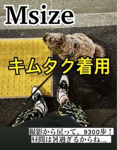 ラッツ　ショートパンツ　キムタク着用　RATS チャレンジャー マシス