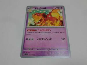 ポケモンカード　バウッツェル　　（Y）