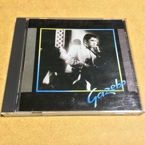 ガゼボ／幻想のガゼボ (Gazebo)　35DP-135 初版3500円盤 1984年発売