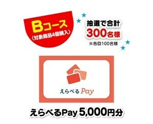 ■4個購入分レシート/5枚ハガキ■ヒガシマル醤油 ファン感謝祭キャンペーン■えらべるpay5000円相当/ヒガシマル商品詰合せ当選■懸賞応募■