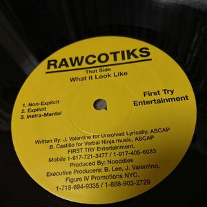 WHAT IT LOOK LIKE / RAWCOTIKS　GOING All OUT バイナル　レコード