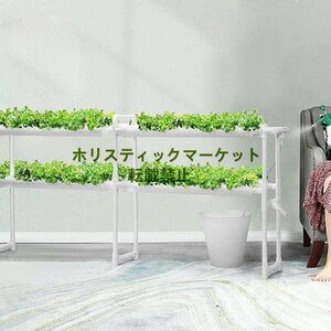 PVC 水耕栽培システム 36か所の植物栽培キット 葉物野菜用 1層 4列 水耕栽培キット 110Vポンプ、ホース、バスケット 植栽スポンジ付き