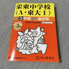 過去問 2025年度用 栄東中（A・東大I）