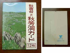 レア★昭和40年代・絵葉書風カード/秋吉台・秋芳洞12枚セット