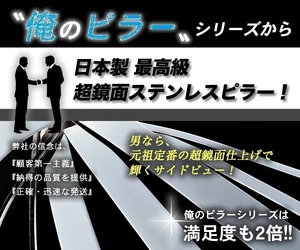 カローラルミオンZRE152N NZE151N 俺の元祖♪日本製 超鏡面ステンレスピラー メッキピラー 在庫完備 ６枚 雨よけ装着車両 バイザー付車用