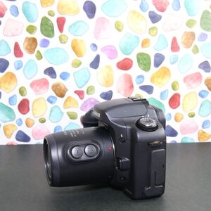 ◇Canon キャノン EOS 10D ◇本格一眼レフ ◇迷ったらこのカメラ♪