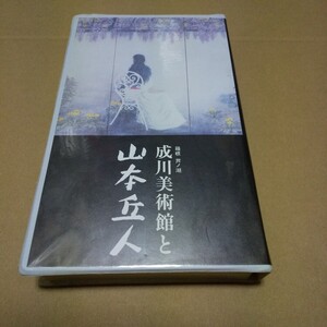 VHS　成川美術館と山本丘人　中古品