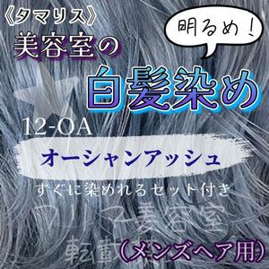 タマリス　すぐに染めれる白髪染めセットM オーシャンアッシュ12（明るめ）　グレイカラー　メンズ用