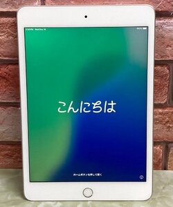 1円～ ●Apple iPad mini 第5世代 / Wi-Fi + Cellular / 256GB / シルバー / iOS 18.2 / 7.9型 (2048x1536) / バッテリー81% / MUXD2J/A