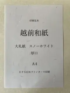 越前和紙 大礼紙 スノーホワイト 厚口　A4 100枚