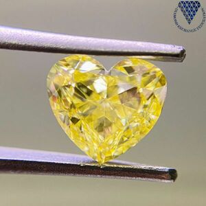 1.00 ct Fancy Intense Yellow VS1 Heart GIA 天然 ダイヤモンド ルース 商品 動画 DIAMOND EXCHANGE FEDERATION