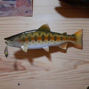 レプリカ　アマゴ　３２ｃｍ　/　雨の魚　アメノウオ　天魚