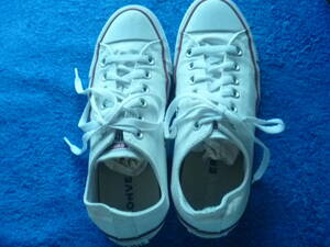 LADIESのCONVERSE ALL- STARのスニカー24,5cm 699