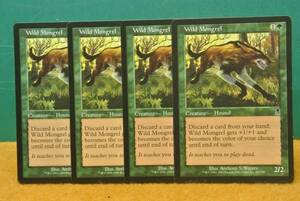 ＭＴＧ　Wild Mongrel 英英英英