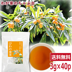 びわの葉茶 3g×40P 　～ 送料無料 ビワの葉茶 びわのは茶 ティーバッグ ビワ 枇杷 葉 茶 大薬王樹 健康茶 ノンカフェイン メール便 ya