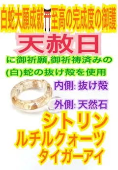 仕事運✨金運✨財運✨蛇の抜け殻✨石外✨白蛇の指輪お守り【天赦日ご祈祷済み】A