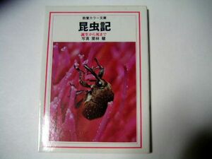 昆虫記　誕生から死まで　写真・栗林慧　教養カラー文庫07