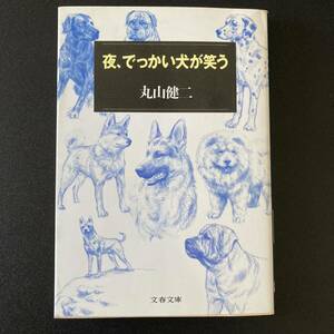 夜、でっかい犬が笑う (文春文庫) / 丸山 健二 (著)