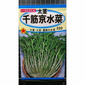 ３袋セット 太茎 千筋 京水菜 みずな 水菜 種 郵便は送料無料