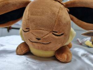 【韓国発送】韓国限定　すやすやイーブイ　ぬいぐるみ　ポケモン　ポケットモンスター　2016