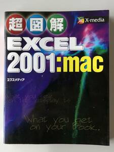 超図解 EXCEL 2001 : mac USED エクセル マッキントッシュ