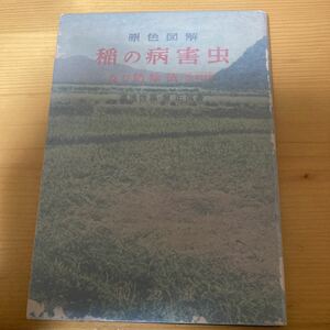 原色図解　稲の病害虫及び防除法学校改訂版）湯浅啓温・堀正侃　　博友社