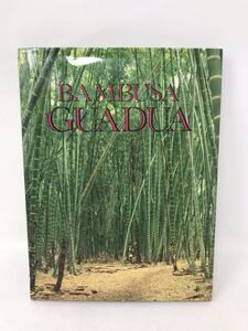 竹細工 竹工芸 竹建築 コロンビア洋書 Bambusa Guadua バンブー 竹垣 竹デザイン