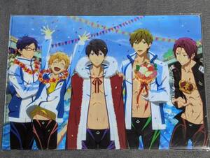 ☆クリアファイル☆ Free! -Eternal Summer- 京アニショップ!限定 未開封 2枚セット　七瀬遙 松岡凛 橘真琴 葉月渚 竜ヶ崎怜 /gc06