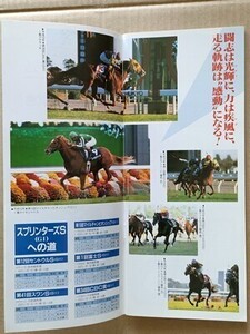 競馬 JRA レープロ981219中山大障害秋 ビクトリーアップ /Sマサラッキ タイキシャトル エアジハード マイネルラヴ ロイヤルスズカ