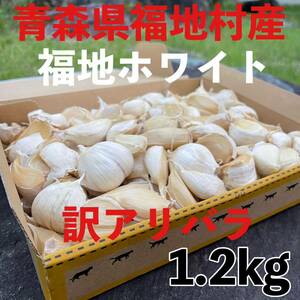 福地村産　福地ホワイト　バラ　訳あり　1.2kg 青森県産　にんにく　B品　夏坂ふぁーむ