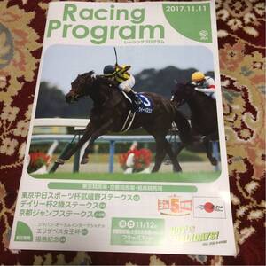 JRAレーシングプログラム2017.11.11、武蔵野ステークス（GⅢ)、デイリー杯2歳ステークス（GⅡ)、京都ジャンプステークス（J・GⅢ)