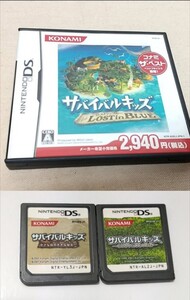 DS サバイバルキッズ 3点セット 動作確認済み