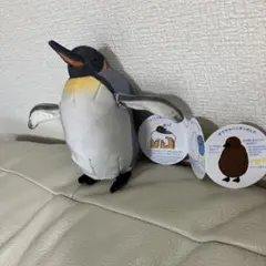 海遊館、フェリシモ、ペンギン