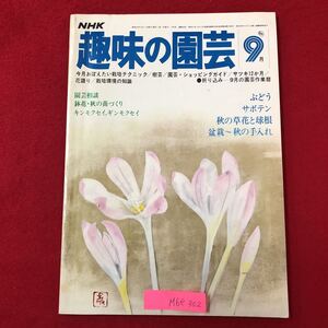 M6e-302 NHK 趣味の園芸9月 今月おぼえたい栽培テクニック 樹芸 園芸 ショッピングガイド サツキ12カ月 園芸相談など 昭和53年9月1日発行