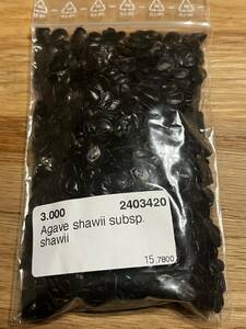 アガベ　シャウィー　種子　100粒　Agave Shawii