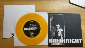 Birthright 7EP ブックレット付き nyhc state craft