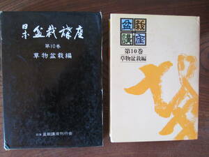 R＜ 日本盆栽講座　第10巻　草物盆栽編　/　日本盆栽講座刊行社　　 ＞