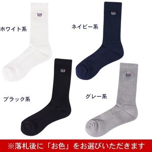 【PREMIUM CHOICE】【2足でのセット販売！】23区GOLFメンズ レギュラーソックス【GN1PIW-0801】新品。＝＝Made in Japan＝＝