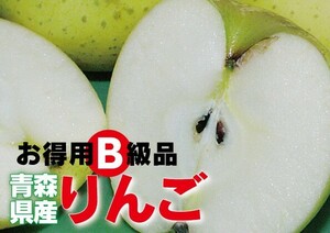 わけあり【B級品・ぐんま名月・10kg（10キロ）ダンボール 詰】青森県産 青りんご