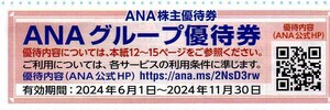 ANAグループ株主優待券 空港売店,免税店割引/ING・ANA・ホテルズグループジャパン宿泊室料,飲食料優待/武蔵の杜,早来ゴルフプレー特別料金