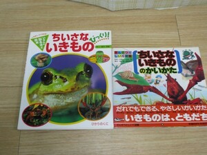 夏休み■ちいさないきもの大図鑑+ちいさないきものの飼い方　2冊セット