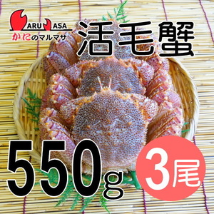 【かにのマルマサ】 北海道産 活毛ガニ550g 3尾セット