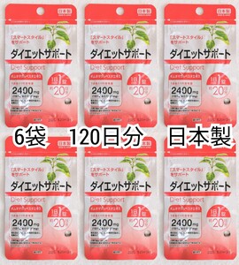 匿名配送ギムネマシルベスタ(ダイエットサポート)×6袋120日分120錠(120粒) 日本製無添加サプリメント健康食品 DHC体脂内脂ではありません 